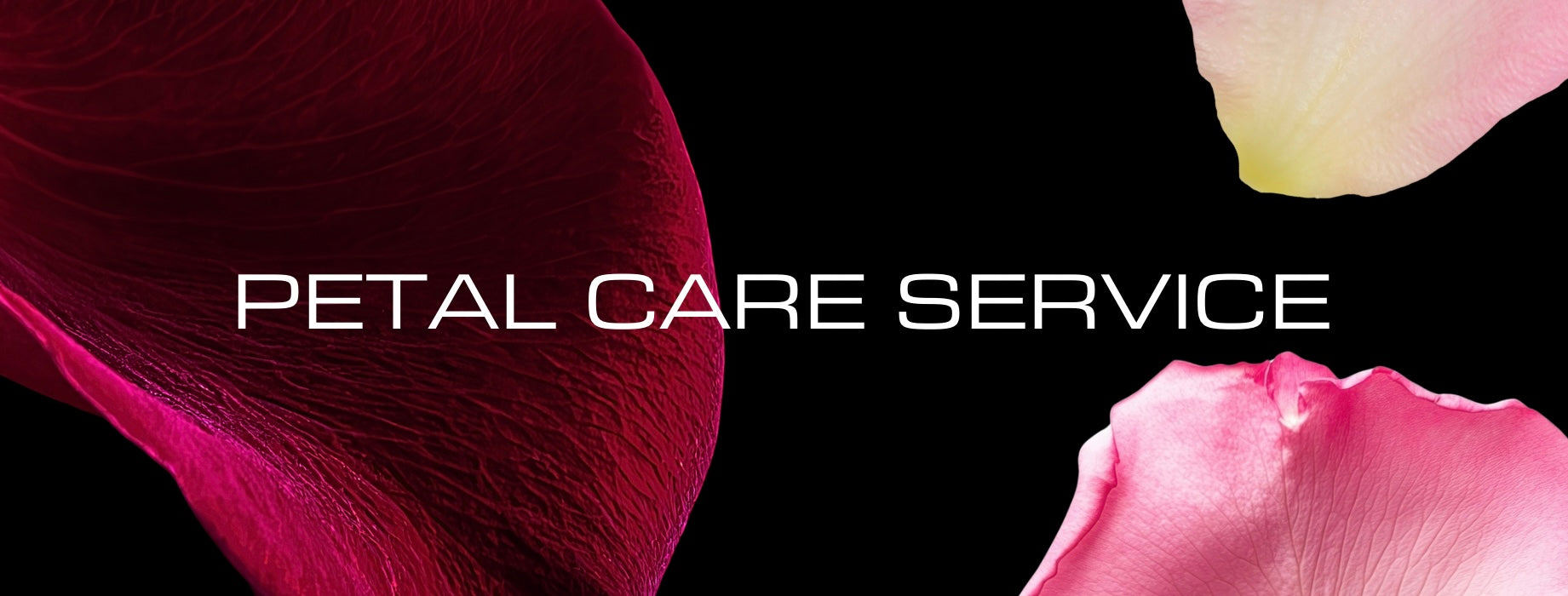PetalCare Service